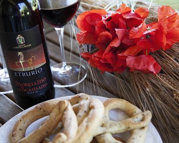 Tour of the cellar and Maremma dinner with wine tasting at Podere Castellaccia