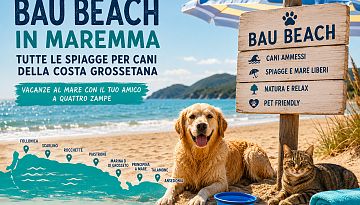 Bau Beach in Maremma: spiagge per cani a Follonica, Castiglione e Argentario - Maremma Toscana