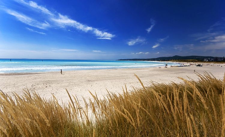 Plage de Rosignano ☀️