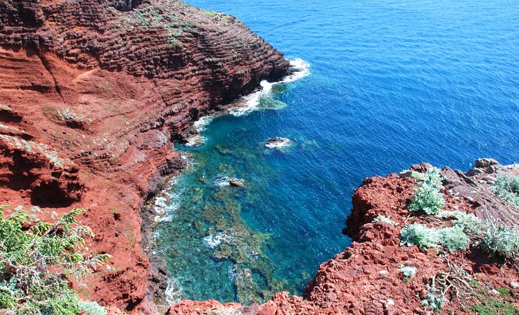 Capraia, wilde Insel