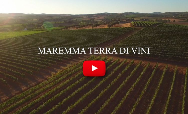MAREMMA ❤️ LAND OF WINES