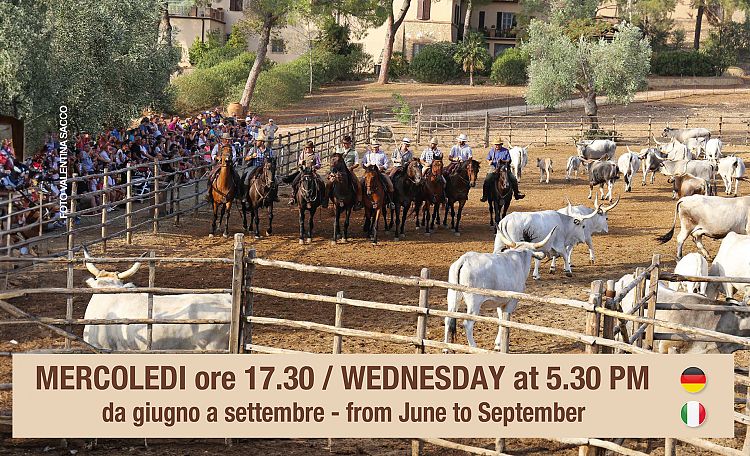 Discovering the Butteri of Maremma - Info and Timetable