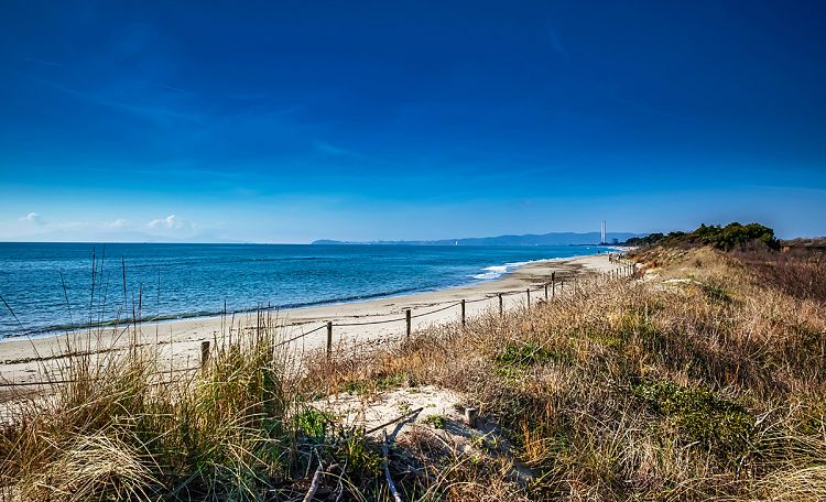 Carbonifera beach