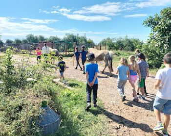 Grosseto: visit the family farm with tasting of local food at Agriturismo Lillastro