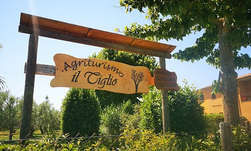 Agriturismo Il Tiglio - Marina di Grosseto (Grosseto)